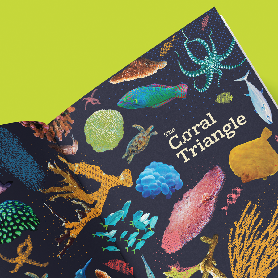 The Coral Triangle (ships out from Dec 01)