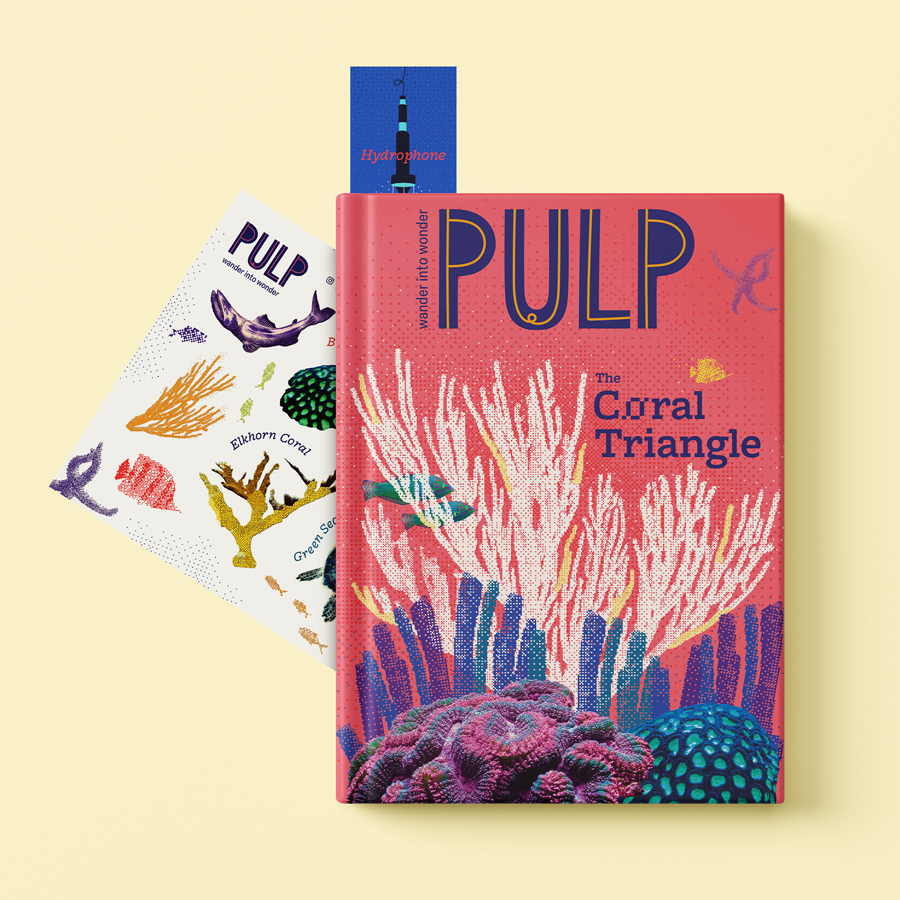 The Coral Triangle (ships out from Dec 01)