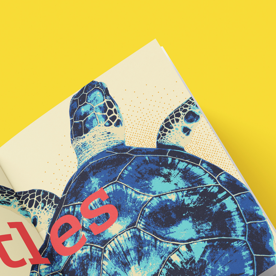 The Coral Triangle (ships out from Dec 01)